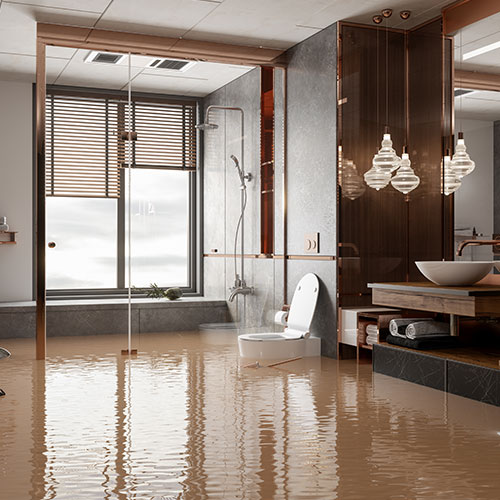 Flooded Bathroom Square